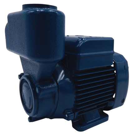 Pedrollo Einbauwasserpumpe PKSm 60 selbstansaugend 220-230V Mein Shop