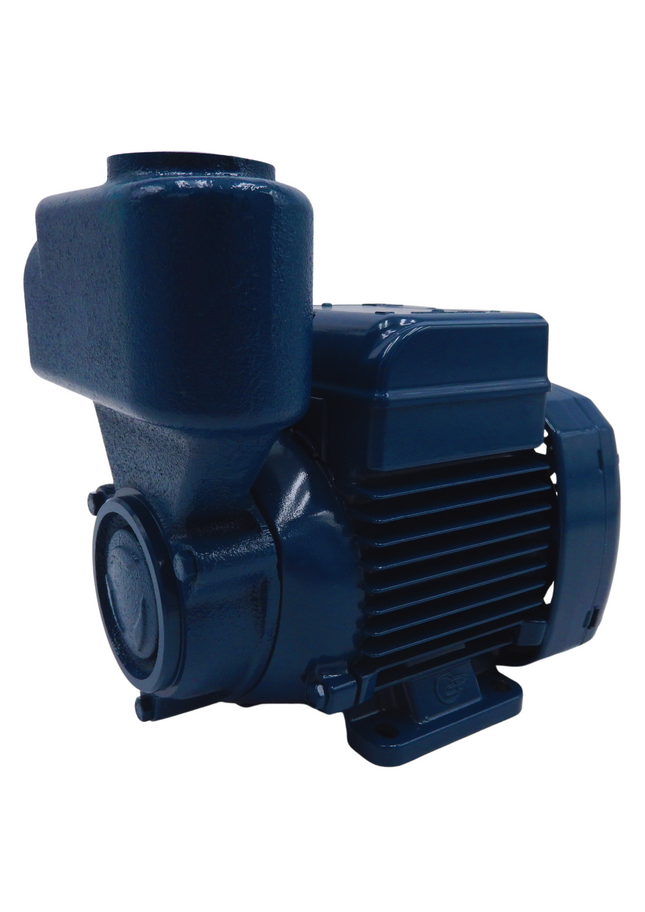 Pedrollo Einbauwasserpumpe PKSm 60 selbstansaugend 220-230V Mein Shop