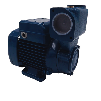 Pedrollo Einbauwasserpumpe PKSm 60 selbstansaugend 220-230V Mein Shop