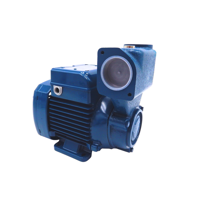 Pedrollo Einbauwasserpumpe PKSm 60 selbstansaugend 220-230V Mein Shop