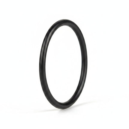 Dichtung für Absperrorgan – O-Ring