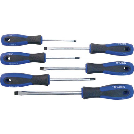 Schraubendreher-Set 6-teilig: Schlitz 3,0 / 5,5 / 6,5 / 8,0 mm und Pozidriv PZ1, PZ2